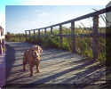 Gabby on bridge